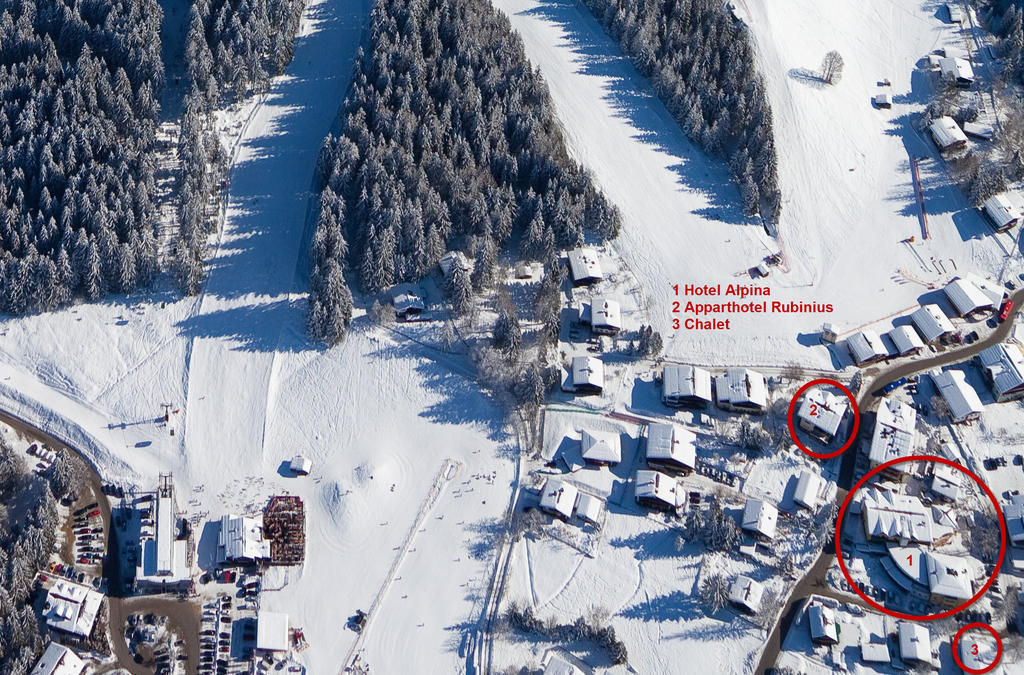 Hotel Alpina z lotu ptaka